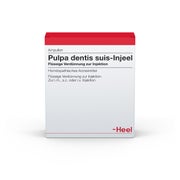 Pulpa Dentis SUIS Injeel Ampullen 10 St