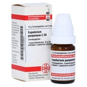 Produktabbildung: Eupatorium Purpureum C 30 Globuli 10 g