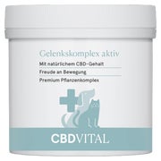 Produktabbildung: CBD VITAL Gelenkskomplex aktiv | Für mehr Bewegungsfreude 100 g