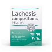 Lachesis Compositum N ad us.vet.Ampullen 5 St