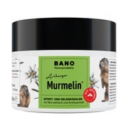 Produktabbildung: Murmelin Arlberger Murmeltiersalbe 200 ml