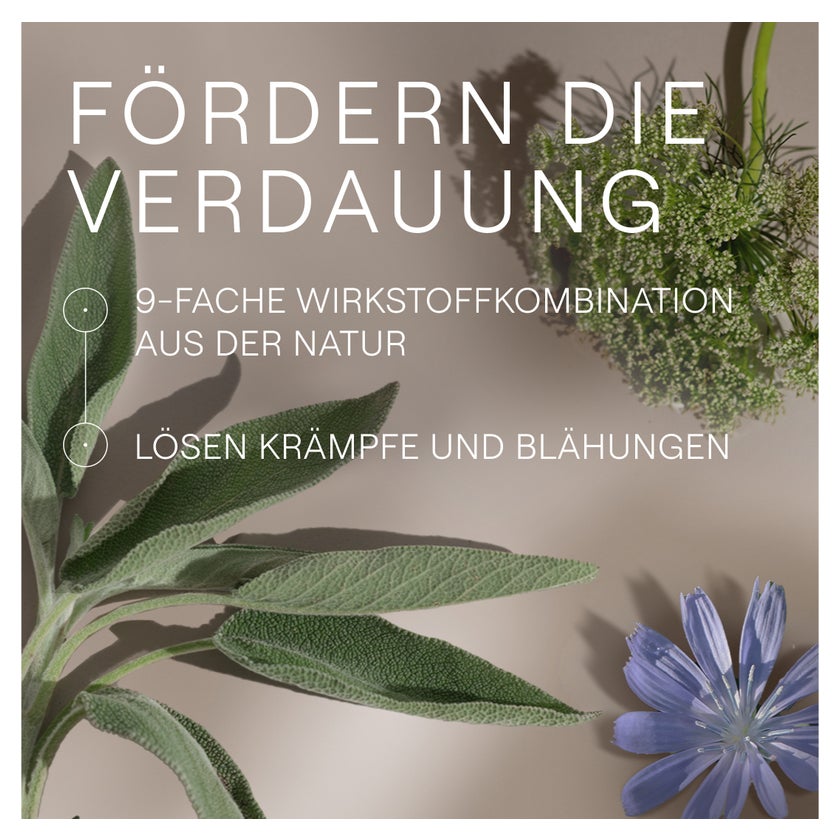 Weleda Amara-Tropfen 50 ml