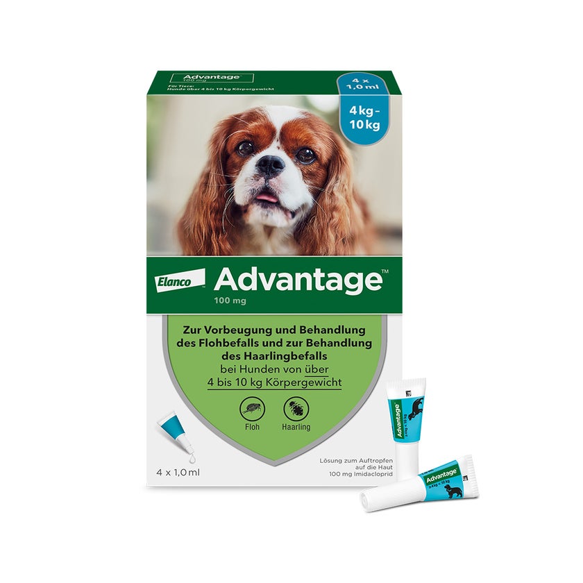 Advantage 100 Hunde 4-10 kg 4 St