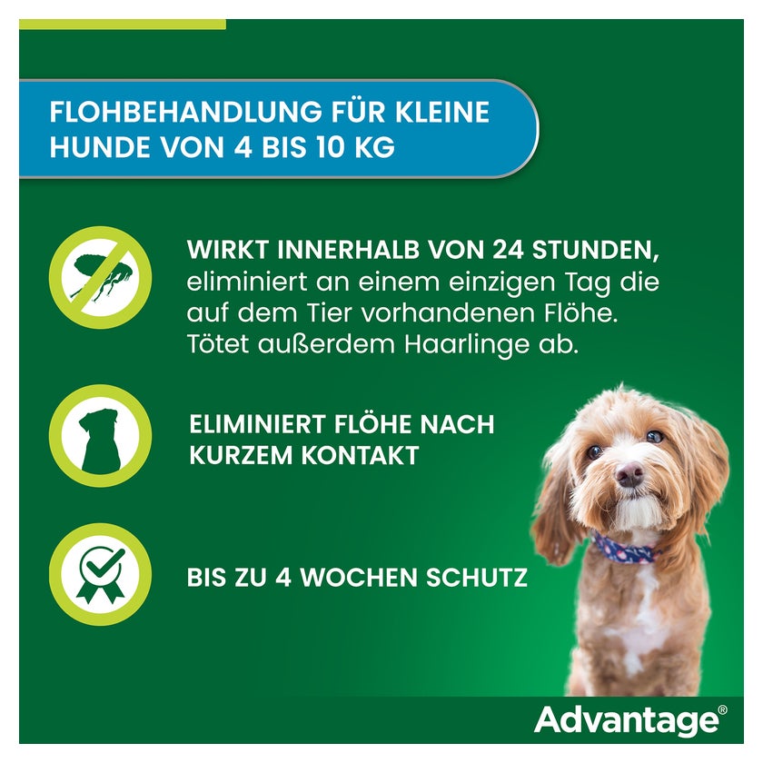 Advantage 100 Hunde 4-10 kg 4 St