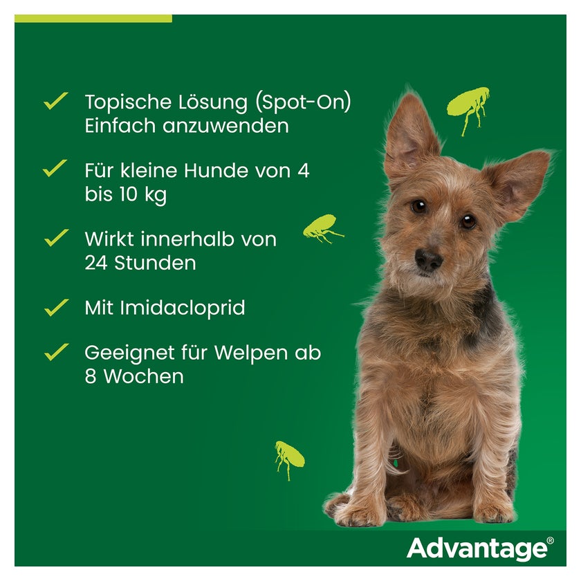Advantage 100 Hunde 4-10 kg 4 St