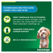 Advantage 100 Hunde 4-10 kg 4 St