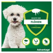 Advantage 100 Hunde 4-10 kg 4 St