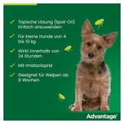 Advantage 100 Hunde 4-10 kg 4 St