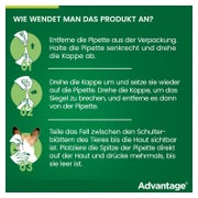 Advantage 100 Hunde 4-10 kg 4 St