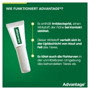 Advantage 100 Hunde 4-10 kg 4 St