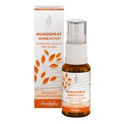 Produktabbildung: Mundspray 20 ml
