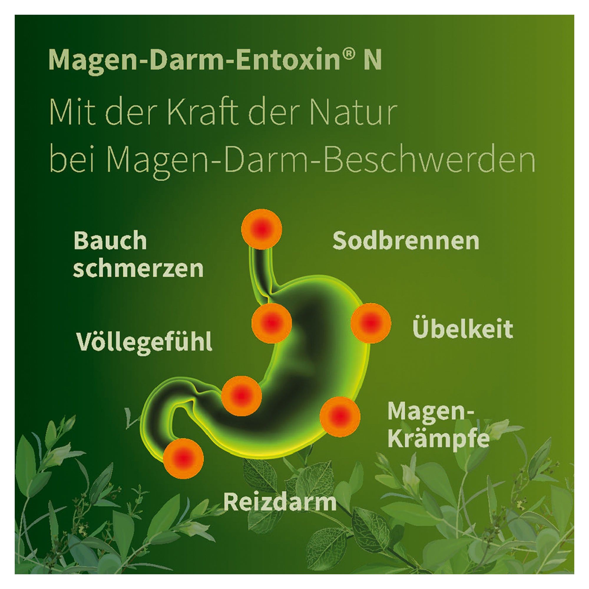 Kann Man Vomex Auf Nüchternen Magen Nehmen MAGEN-DARM-ENTOXIN N Tropfen online kaufen | medpex