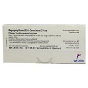 Produktabbildung: Bryophyllum D 5/conchae D 7 Ampullen 8X1 ml