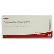 Fasciculus Atrioventricularis GL D 8 Amp 10X1 ml