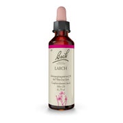 Produktabbildung: Bachblüten Larch Tropfen 20 ml