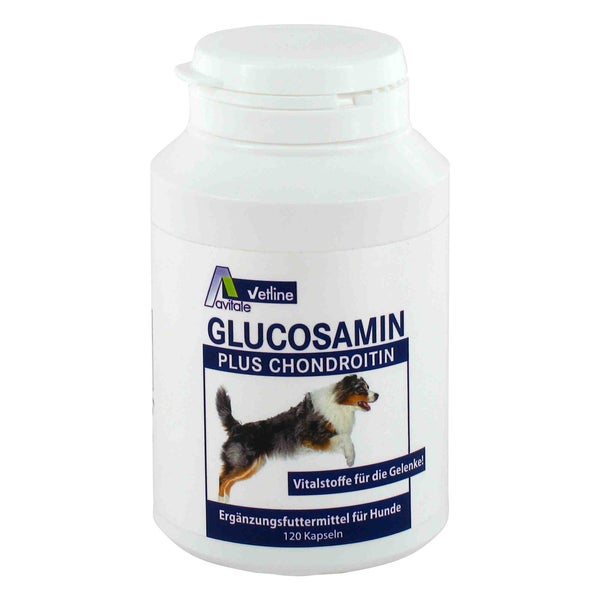 Glucosamin+Chondroitin Hunde 120 St