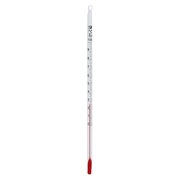 Produktabbildung: Thermometer 10-100° C 20 cm lang 1 St