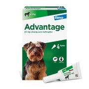 Produktabbildung: Advantage™ 40 mg Hund 4 St