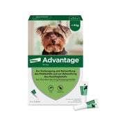 Produktabbildung: Advantage Spot-On 40 gegen Flöhesehr kleine Hunde 4 St