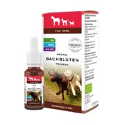 Produktabbildung: Lemon Pharma Bachblüten Tier•Tropfen, Aggressivität 20 ml