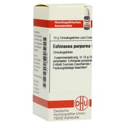 Echinacea Purpurea D 12 Globuli 10 g