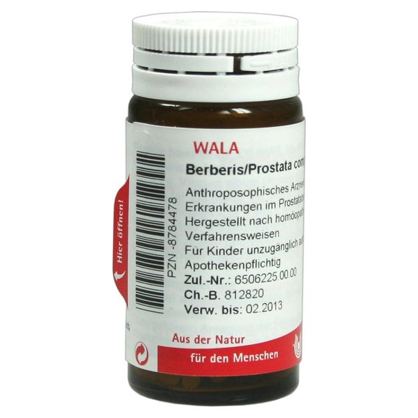 Berberis/prostata Comp. 20 g