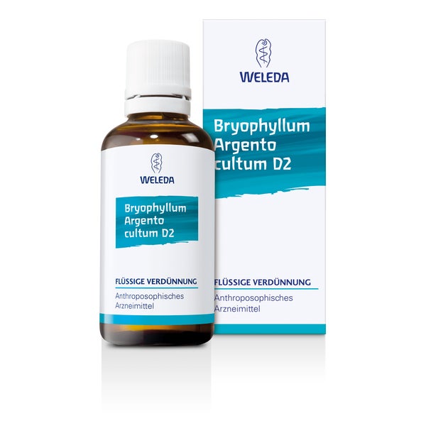 Bryophyllum Argento Cultum D 2 Dilution 50 ml
