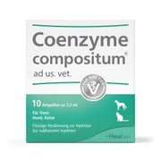 Produktabbildung: Coenzyme Compositum ad us.vet.Ampullen 10 St