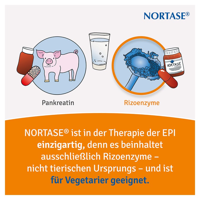 NORTASE 50 St