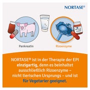 NORTASE 50 St