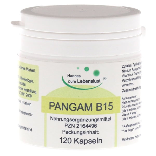 Pangam Vitamin B15 Kapseln 120 St