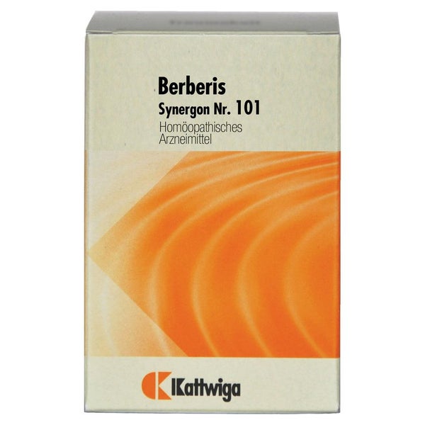 Synergon Komplex 101 Berberis Tabletten 200 St