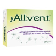Produktabbildung: Allvent 60 St