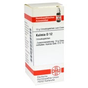Produktabbildung: Kalmia D 12 Globuli 10 g