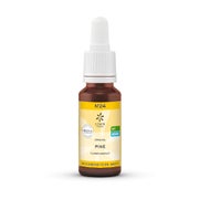 Bachblüten No.24 Pine Bio 20 ml
