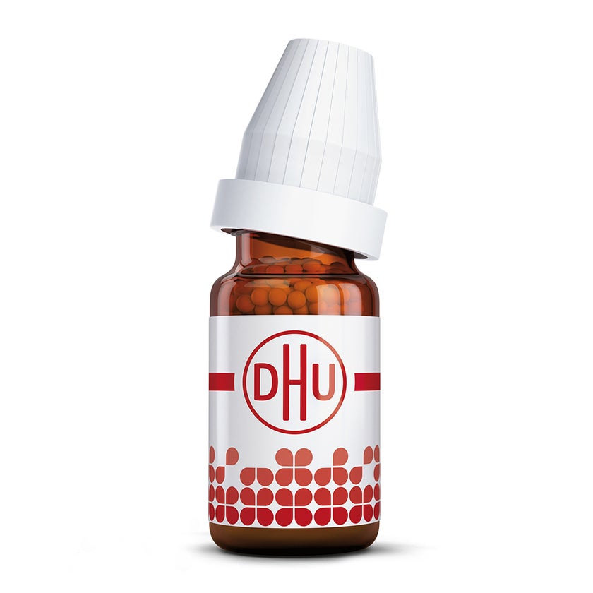 Kalium Arsenicosum C 6 Globuli 10 g