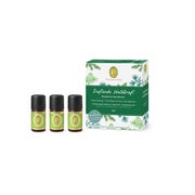 Set Duftende Waldkraft 1 P
