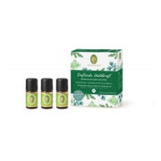 Produktabbildung: Set Duftende Waldkraft 1 P