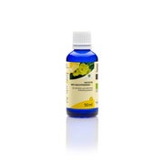 Produktabbildung: Nachtkerzenöl BIO 50 ml