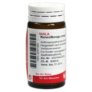 Renes/borago Comp.globuli 20 g