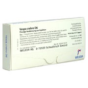 Produktabbildung: Vespa Crabro D 6 Ampullen 8X1 ml