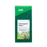 Produktabbildung: Spitzwegerichblätter Arzneitee Bio Salus 60 g