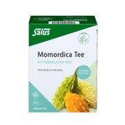 Produktabbildung: Momordica PUR Asiatischer Kräutertee Bio 40 St