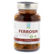 Produktabbildung: Ferrosin Eisen 14 mg Kapseln 60 St