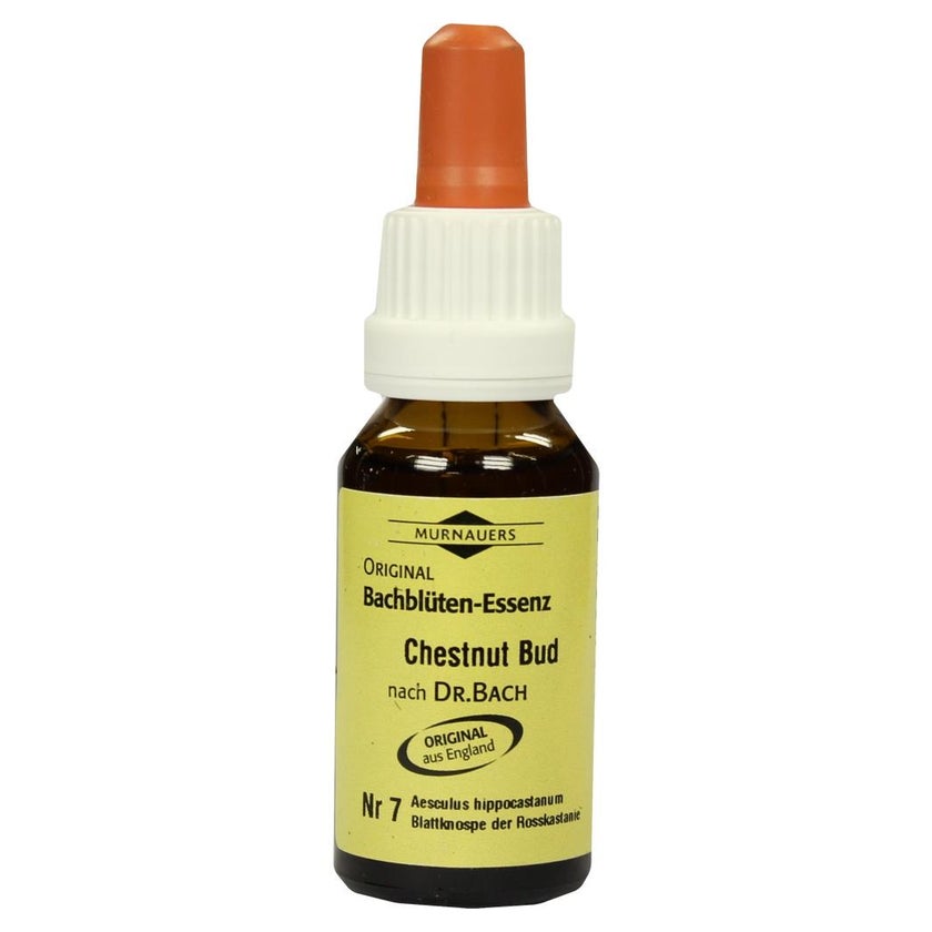 Bachblüten Murnauer Chestnut Bud Tropfen 20 ml