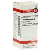 Produktabbildung: Bellis Perennis D 4 Globuli 10 g