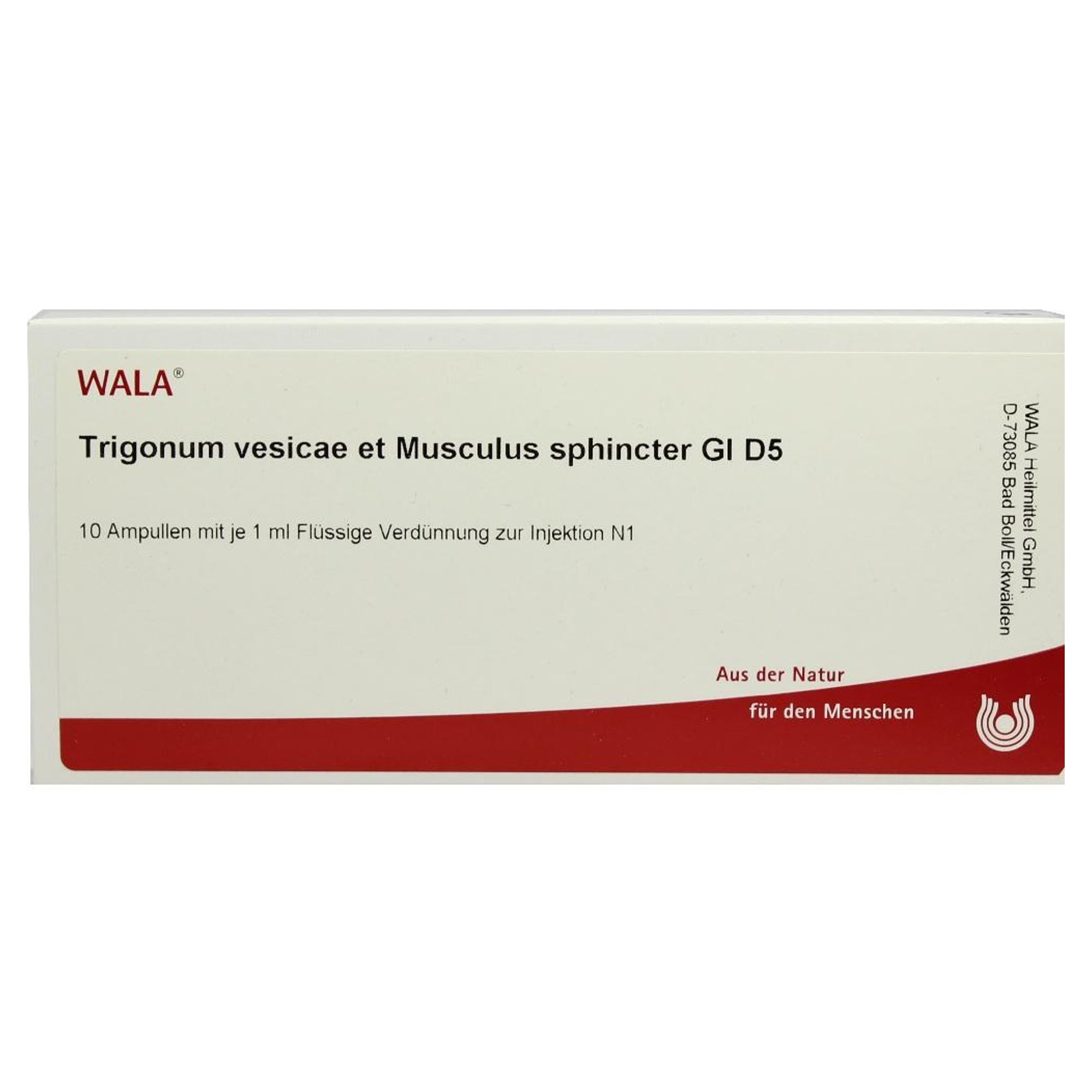 TRIGONUM vesicae et Musculus sphincter GL D 5 Amp. medpex