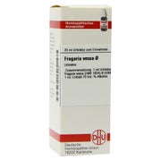 Produktabbildung: Fragaria Vesca Urtinktur 20 ml