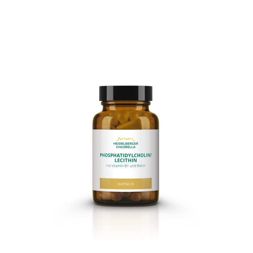 Phosphatidylcholin/lecithin Phospholipid 60 St