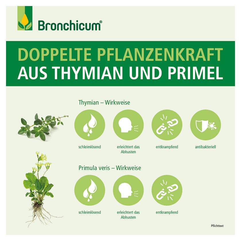 Bronchicum Tropfen 50 ml